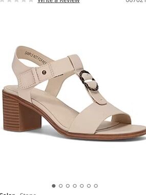 NWT!! FRYE AND CO. Stone Leather T-Strap Block Heel Sandal with Buckle